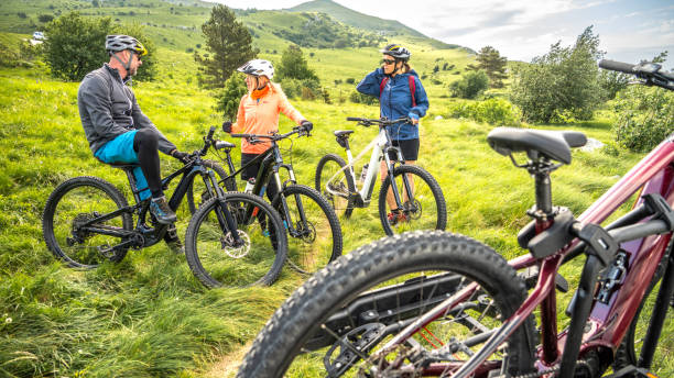 istock Friends with electric bicycles on meadow 1650330761