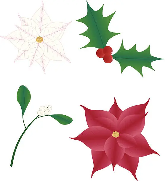 Vector illustration of Christmas Flowers - incl. jpeg