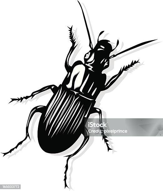 바구미 곤충에 대한 스톡 벡터 아트 및 기타 이미지 - 곤충, 날기, 누에고치