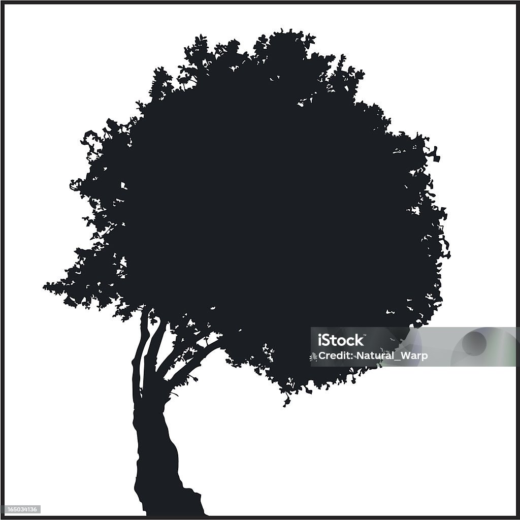 Drzewo sylwetka 05 - Grafika wektorowa royalty-free (Czarny kolor)