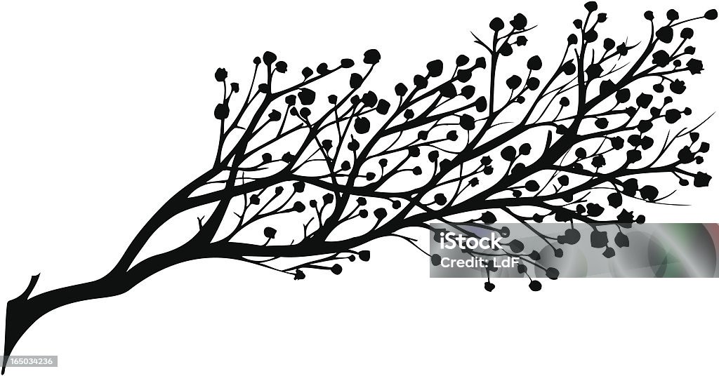 연두빛 잎과 - 로열티 프리 벚나무 벡터 아트