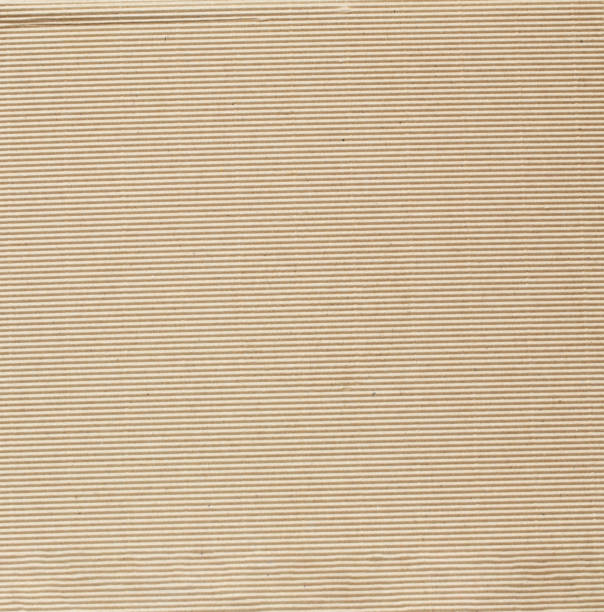 istock recycling brown  paper  close up background 1650342809