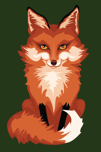 Red Fox