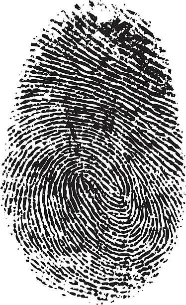 Vector illustration of A vector black and white fingerprint
