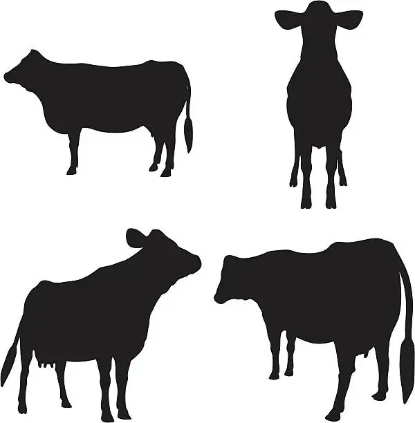 Vector illustration of Cow Silhouette Collection (vector+jpg)