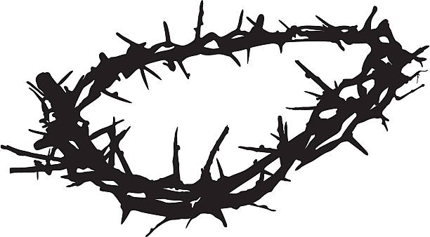 Crown of Thorns Crown of thorns like what was put on Jesus when He was crucified. thorn stock illustrations