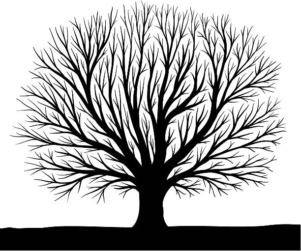 sztuczne drzewo sylwetka - defoliated stock illustrations