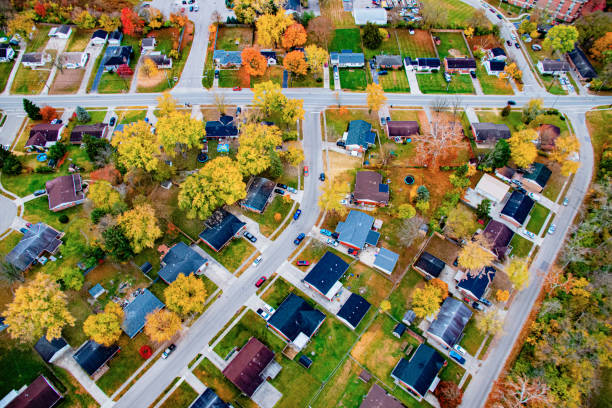 istock Parallel and Perpendicular Roads:  An Aerial View of a subdivision 1650347537
