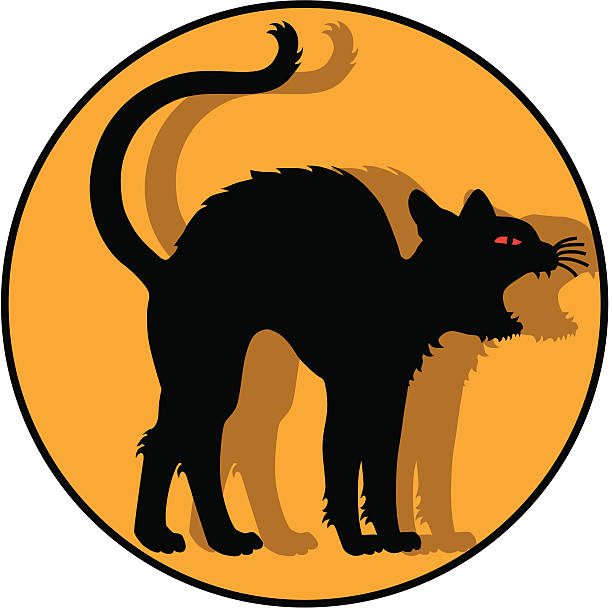 illustrations, cliparts, dessins animés et icônes de chat noir icon - sifflement