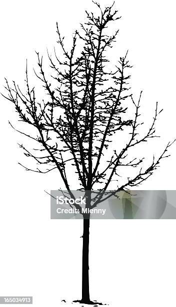 Silhueta De Árvore De 2vector - Arte vetorial de stock e mais imagens de Caule de planta - Caule de planta, Clip Art, Conceitos e tópicos