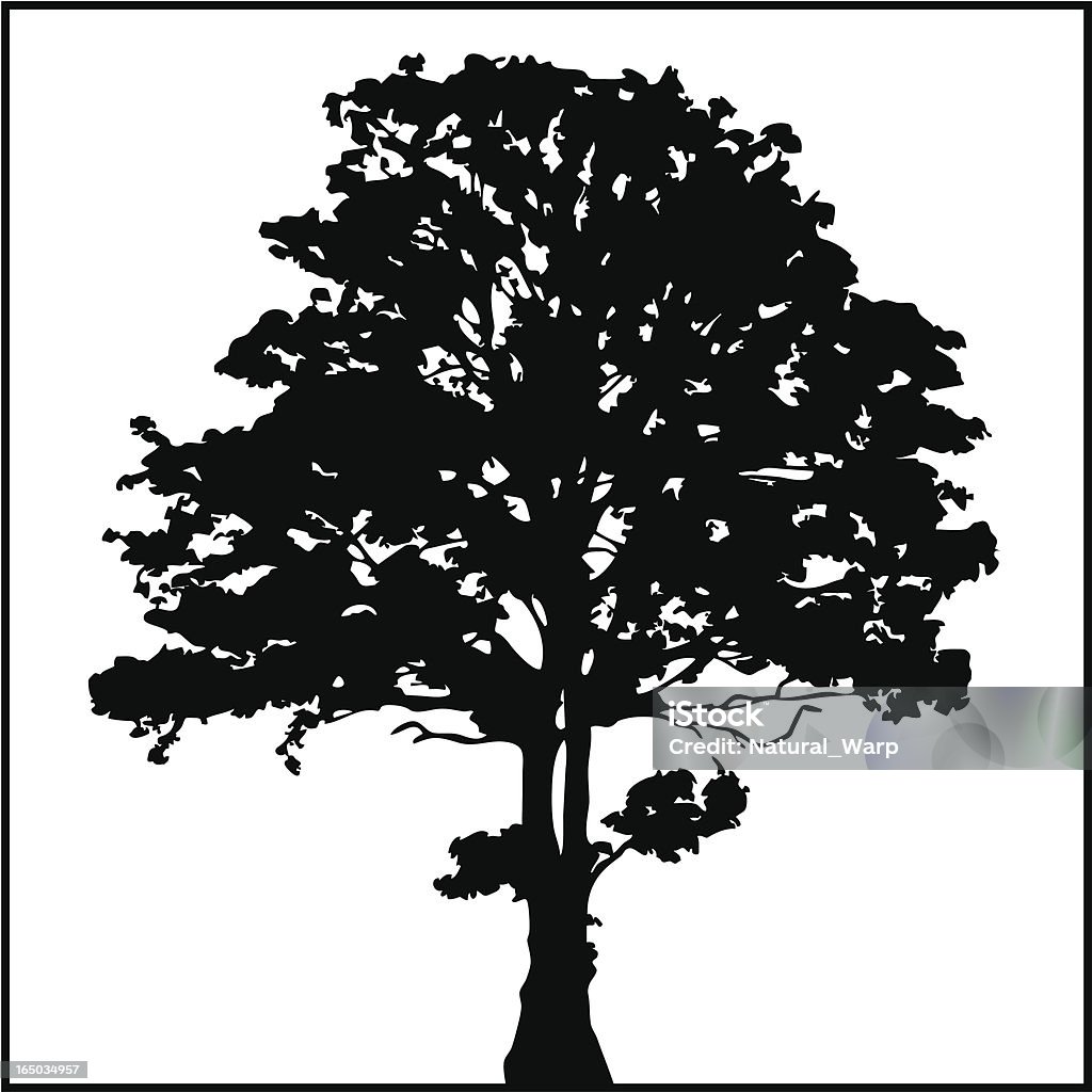 Дерево силуэт 02 - Векторная графика Вяз роялти-фри