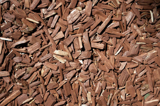 Top down full frame background of brown natural tree bark mulch with copy space for gardening