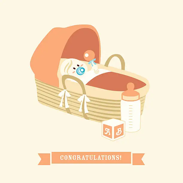 Vector illustration of Baby in a Basket