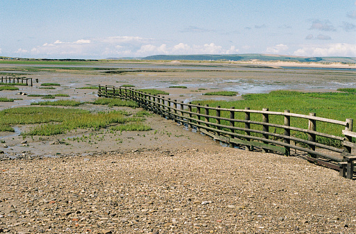 A long wooden fence stretches into the sea and salt marshes, 35mm film, South West Coast Path, Appledore, Devon, UK