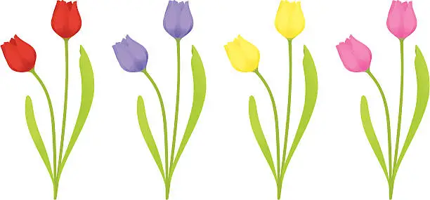 Vector illustration of Tulips - incl. jpeg