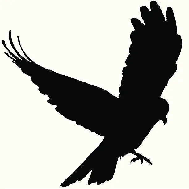 Vector illustration of Bird Flying Silhouette 02