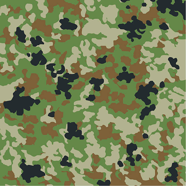 camouflage-muster aus japan - miltary stock-grafiken, -clipart, -cartoons und -symbole