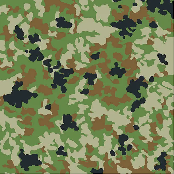 Vector illustration of Camouflage Pattern from Japan