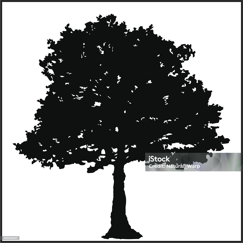 Grande albero - arte vettoriale royalty-free di Olmo