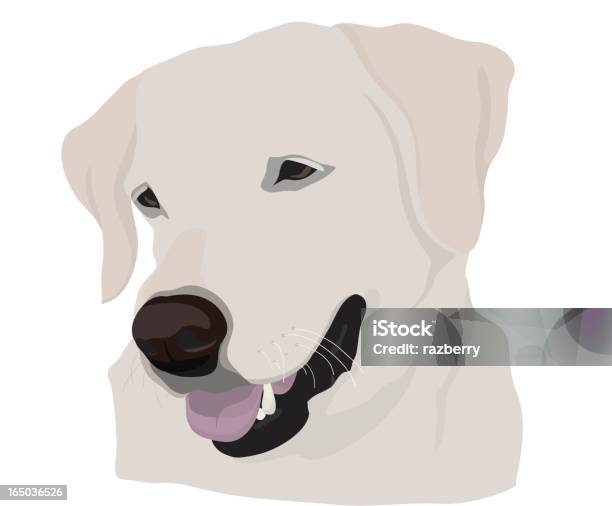 Yellow Lab Stock Vektor Art und mehr Bilder von Domestizierte Tiere - Domestizierte Tiere, Freundschaft, Gelb