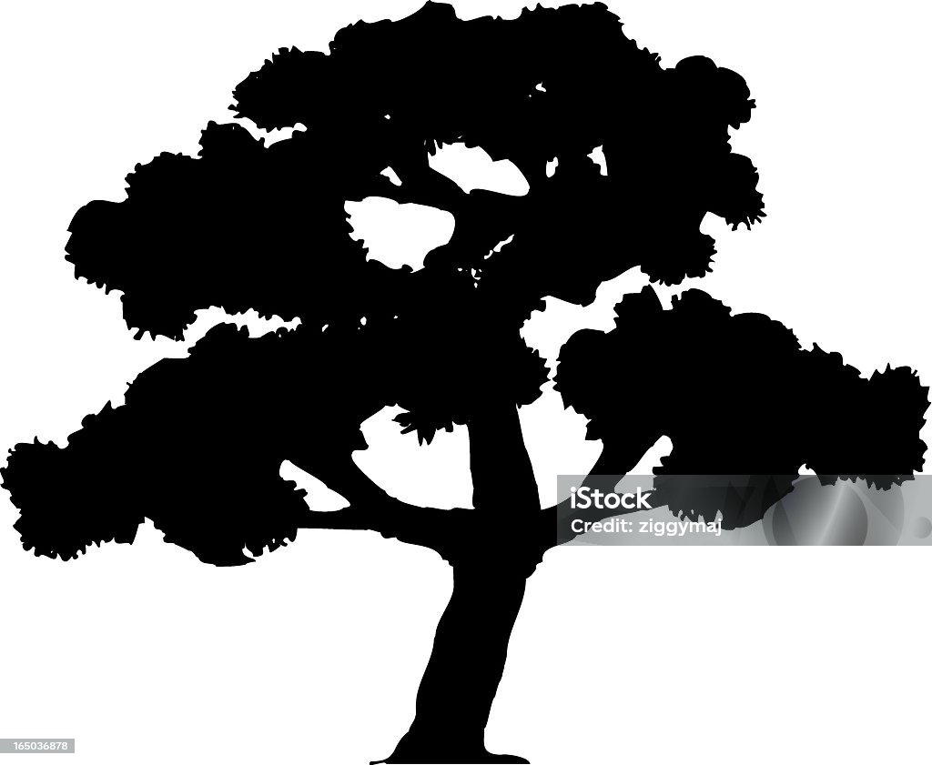 Tree Silhouette Autumn stock vector