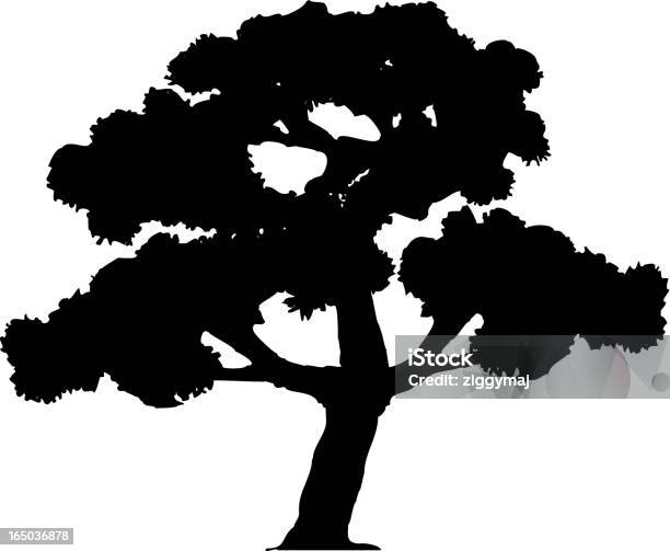 Tree Silhouette Stock Illustration - Download Image Now - Autumn, Birch Tree, Black Color