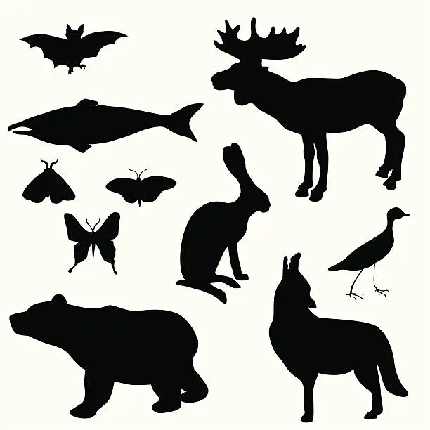 Vector illustration of Bear Bat Jack Rabbit Vector Silhouette