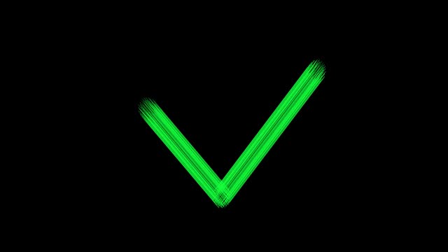 Green check mark icon animation