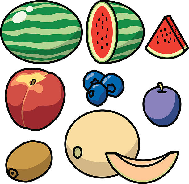 ilustrações de stock, clip art, desenhos animados e ícones de frutos ícones 2 (vector - freshness food serving size kiwi