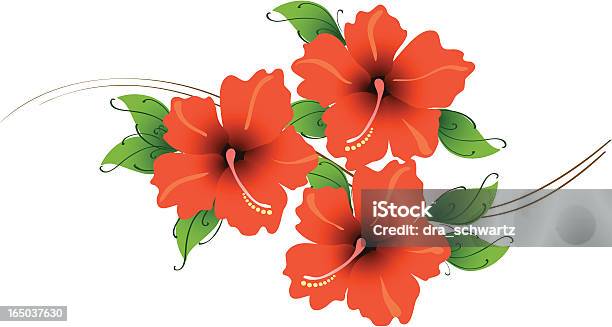 Vermelho Hibisco - Arte vetorial de stock e mais imagens de Hibisco - Hibisco, Tropical, Vermelho