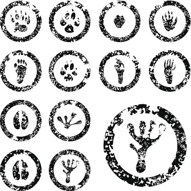 Vector illustration of Footprint Stamp Set - 02 of 04