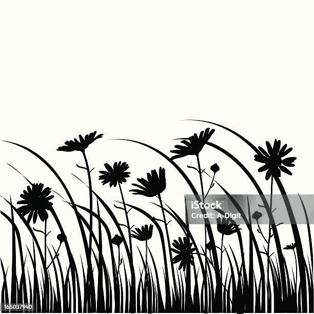 Daisies In Vector Silhouette Stock Illustration - Download Image Now - In Silhouette, Flower, Daisy