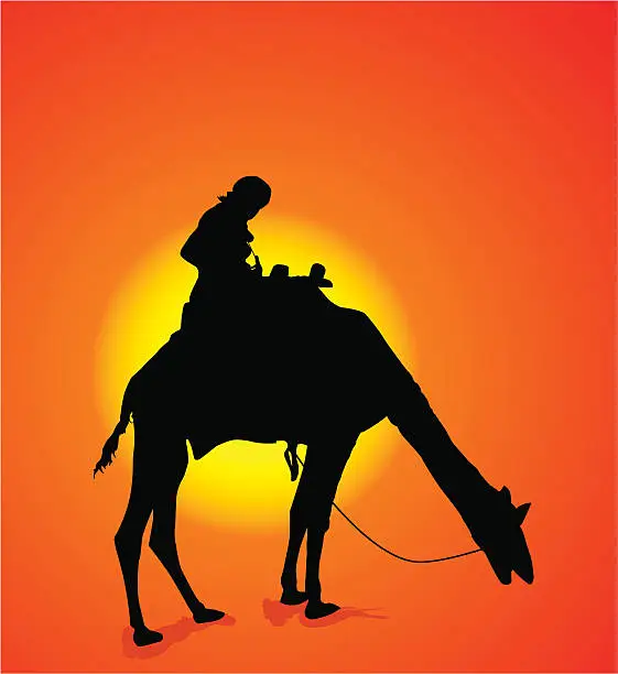 Vector illustration of Camel and sun