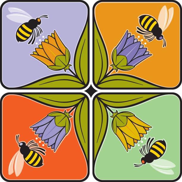 Bees Quadrifoil vector art illustration