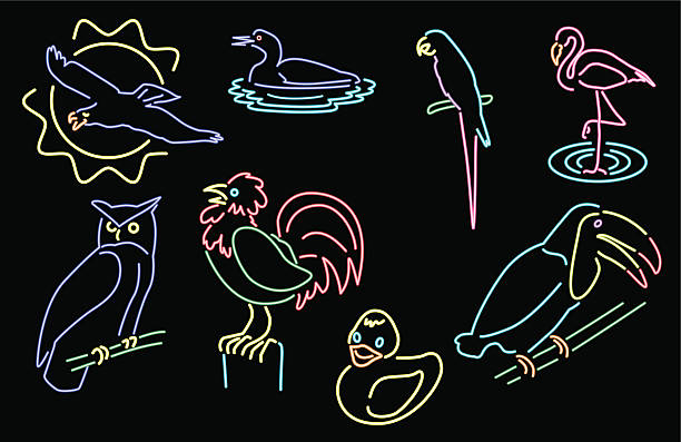 illustrations, cliparts, dessins animés et icônes de neon série 1-oiseaux - duckie