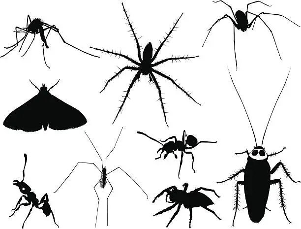 Vector illustration of Insect Silhouettes 3 (Vector)