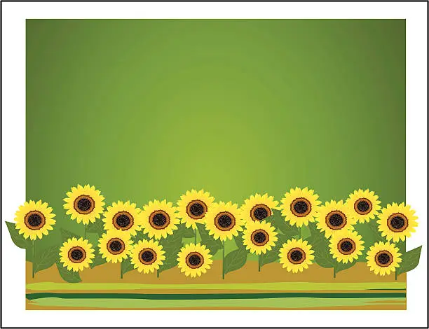 Vector illustration of outdoor - sunflower landscape