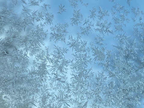 Window Frost UK - blue background - fractal snow ice crystal pattern