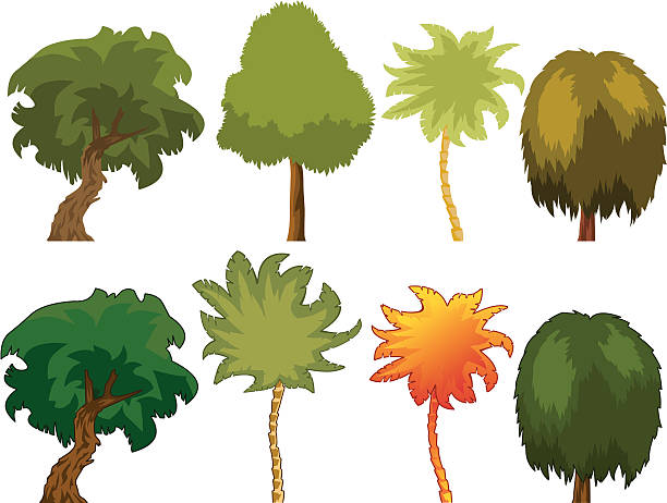 Various Trees vector art illustration