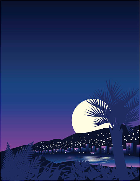 Tropical Moon Moon rising above tropical resort. Set your type in white on the sky for huge impact. Vector illustration includes AI, EPS 8 and 1243x1626 px (letter size at 150 dpi) jpg. monte carlo stock illustrations