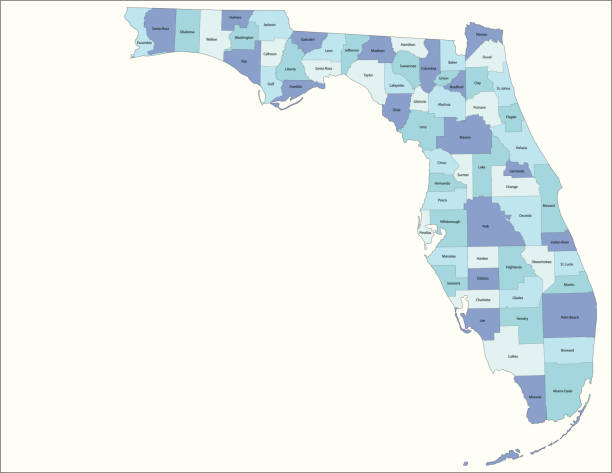 Florida state - county map Detailed state-county map of Florida. counties stock illustrations