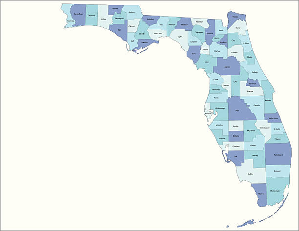 florida state - county map - florida 幅插畫檔、美工圖案、卡通及圖標