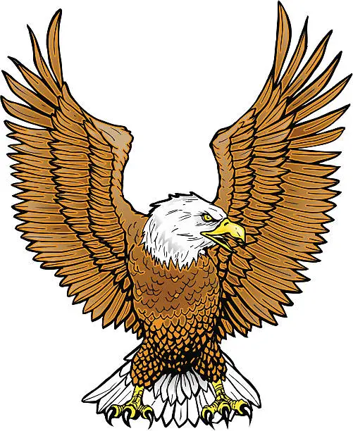 Vector illustration of Soon Eagle