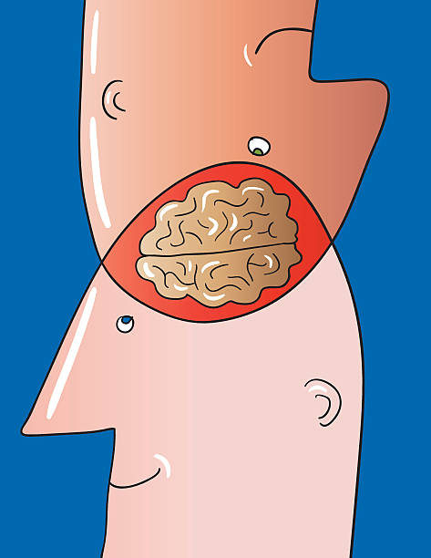 mutual brain High-resolution jpg image included. two heads are better than one stock illustrations