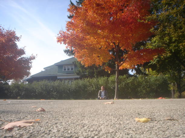 Bright maple leaves with old Congregational church in background. Fall foliage in Bennington Vermont.