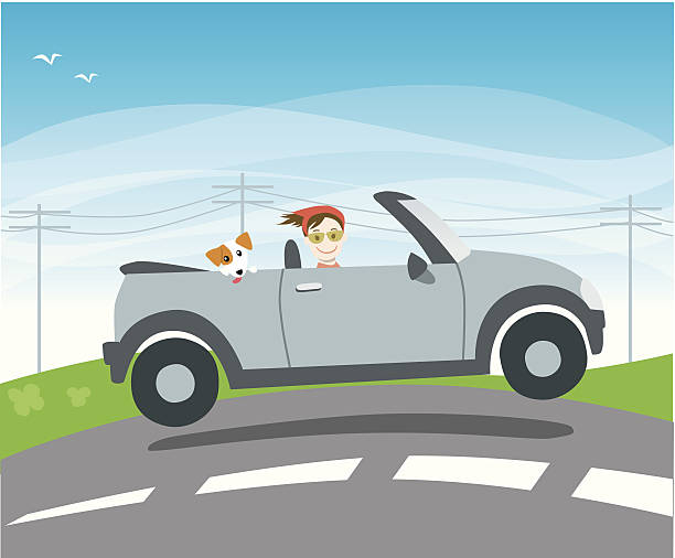 ilustrações de stock, clip art, desenhos animados e ícones de condução em um mini carro descapotável - motoring