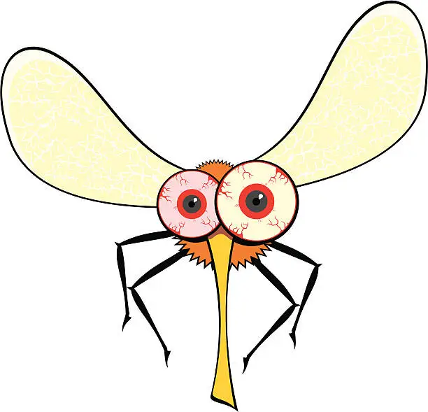 Vector illustration of Fly