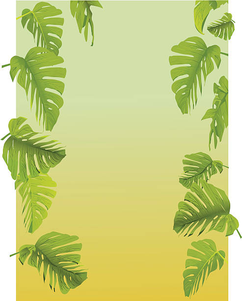 лист рамка-вектор - cheese plant leaf tree park stock illustrations
