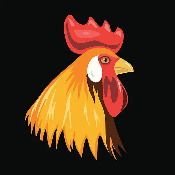 Vector illustration of Rooster - vector