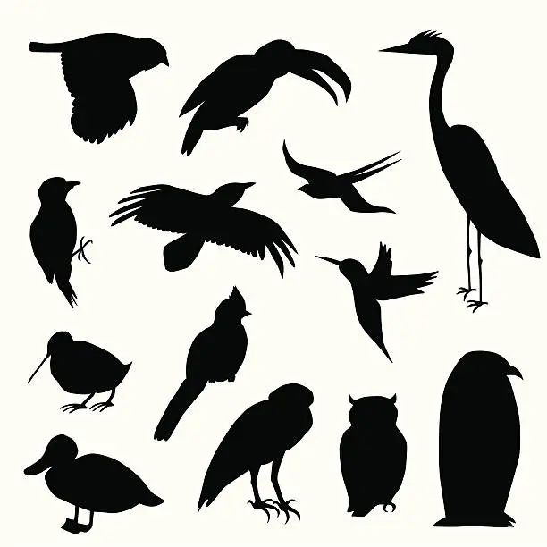 Vector illustration of Wild Birds Vector Silhouette